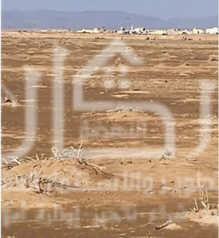 ارض زراعيه خام مساحة كبيرة وصك الكتروني  بالقصيم  بسعر امتار فقط 10 ريال  / متر